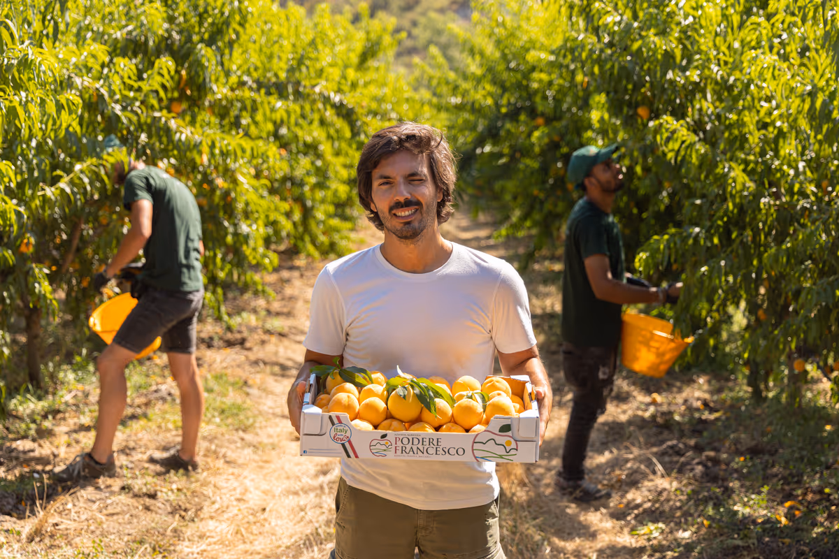 Podere Francesco coltiva oltre cinquanta ettari di frutteti