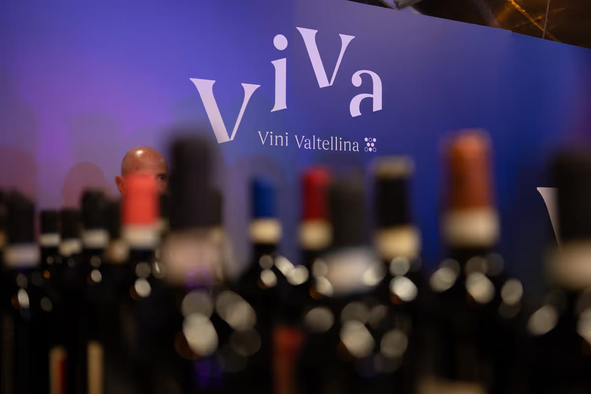 “ViVa, Vini Valtellina” torna con un viaggio tra cantine, borghi e Nebbiolo
