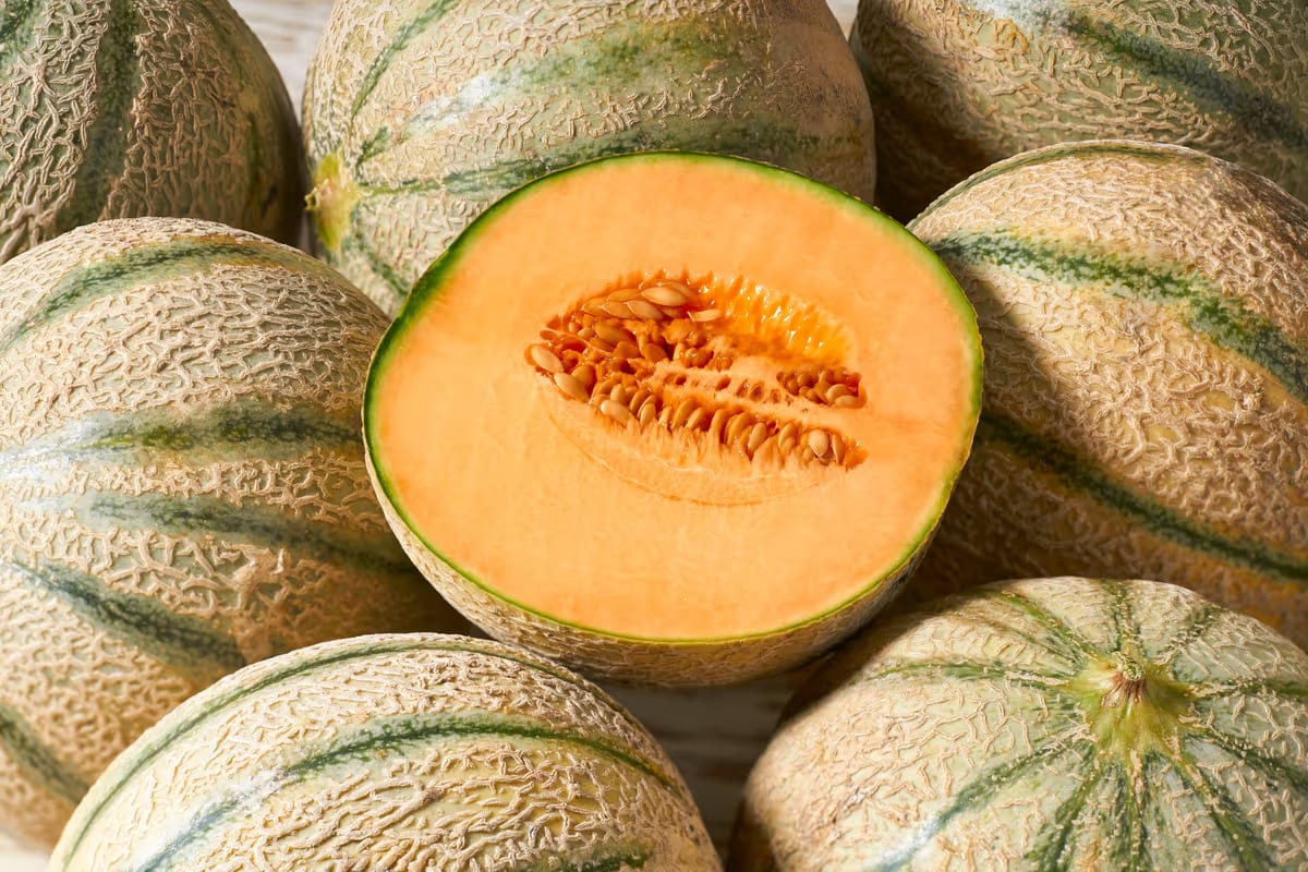 Dolce, fresco e ricco d'acqua: alla scoperta dei benefici del melone