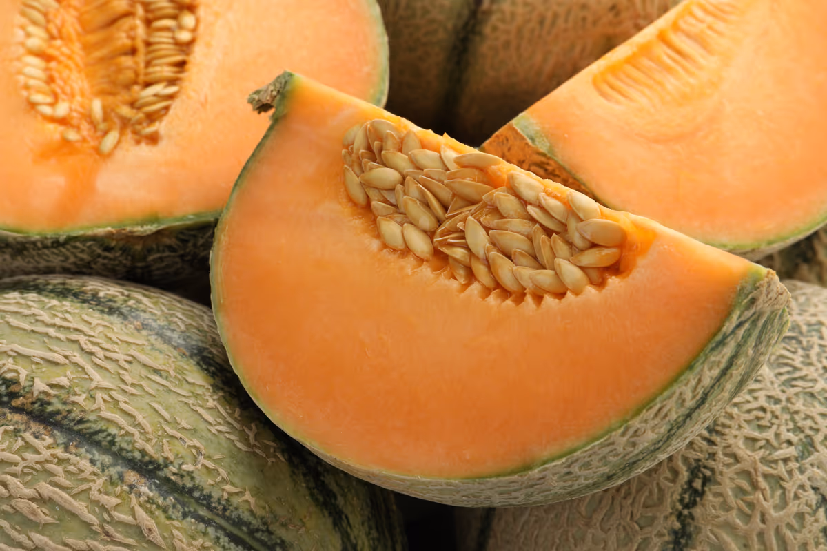 Dolce, fresco e ricco d'acqua: alla scoperta dei benefici del melone