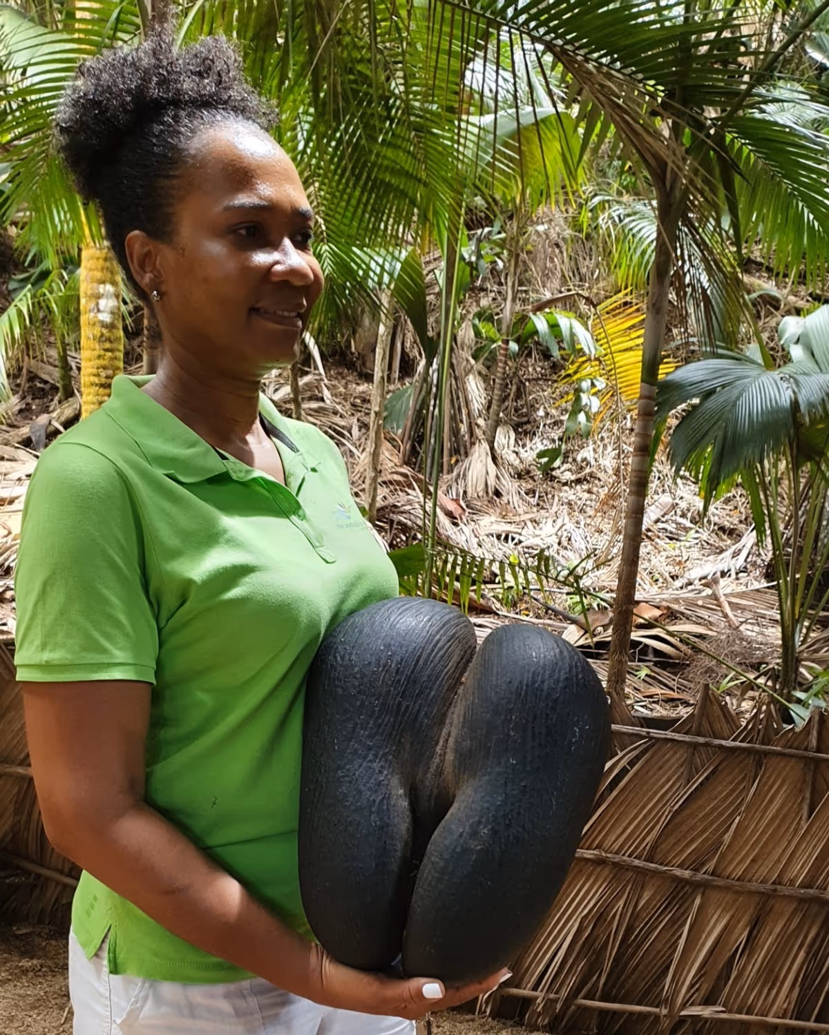 Seychelles, soggiornare nell'Eden si può: tra eco resort e cucina creola