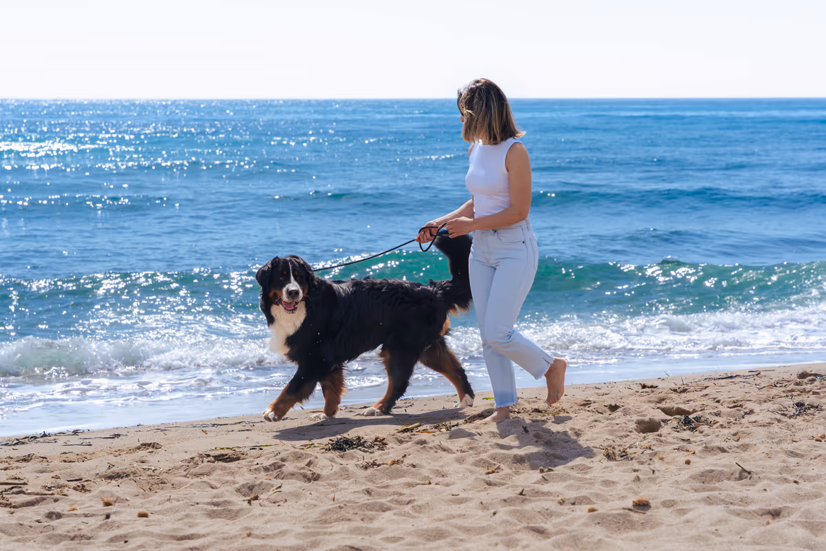 Sono sempre di più le spiegge pet friendly in Italia