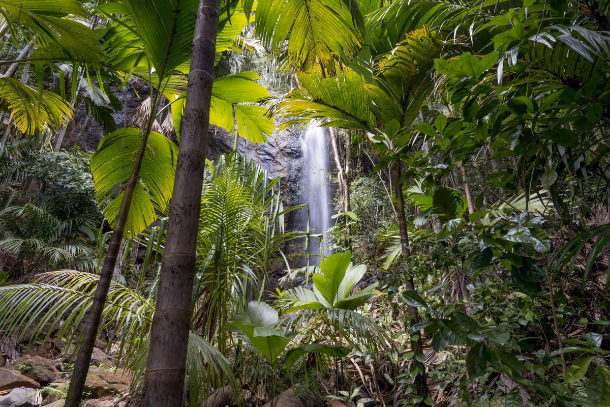 Seychelles, soggiornare nell'Eden si può: tra eco resort e cucina creola