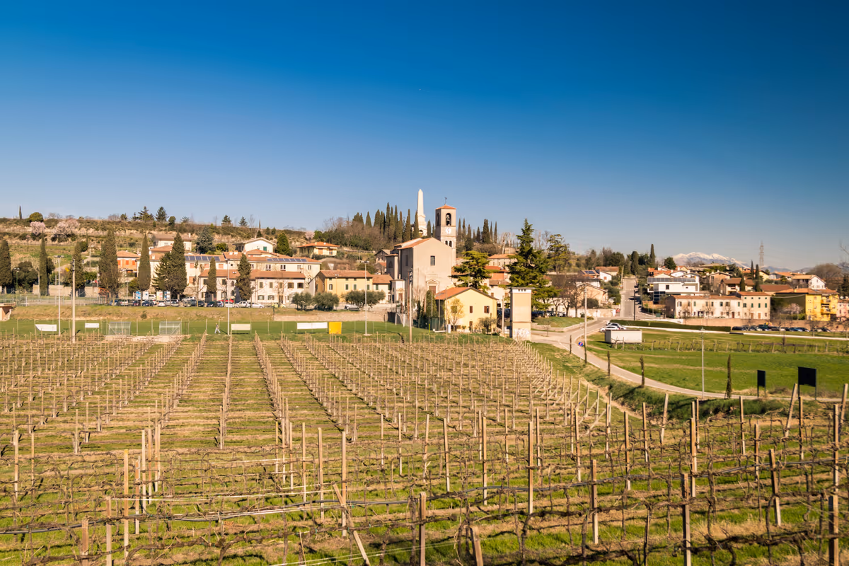 I vigneti di Custoza, frazione di Sommacampagna (Vr)