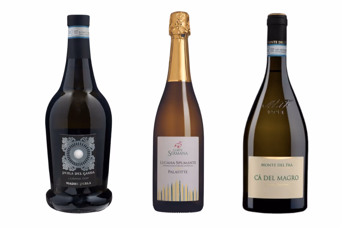 Garda Doc cambia passo: il Consorzio riscrive il futuro dei vini del lago