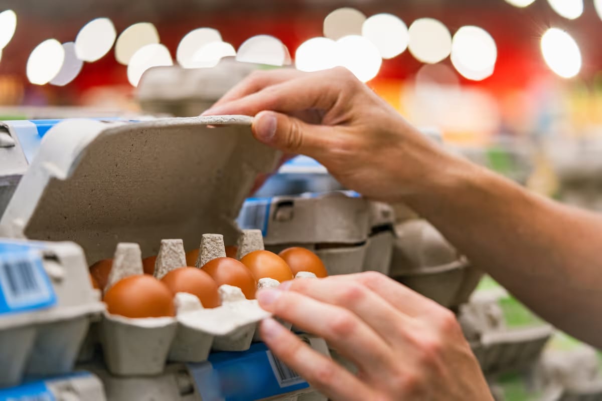 Uova fresche “Delizie del Sole” ritirate dal mercato per rischio salmonella