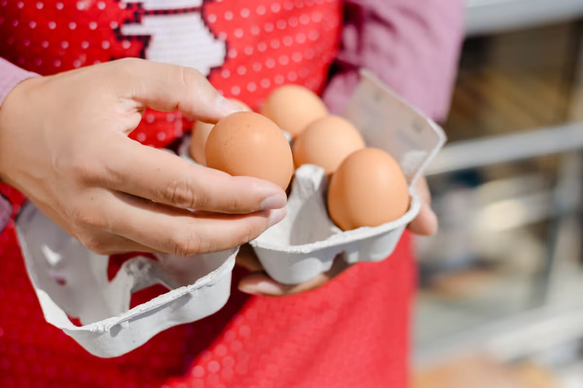 Uova, lotto ritirato per salmonella: ecco come consumarle in sicurezza