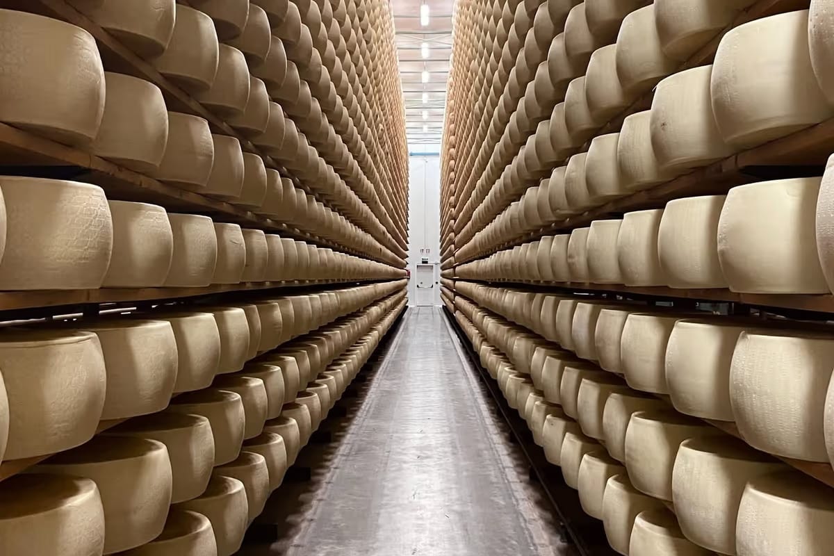 Bresciangrana sospende il ritiro del latte: 1.340 quintali al giorno a rischio