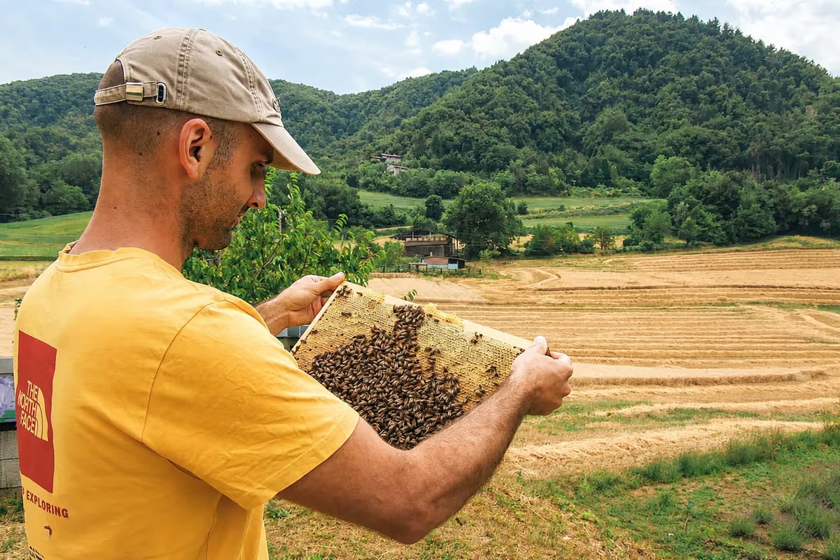 Un apicoltore in Alto Oltrepò accompagna visitatori in esperienze sensoriali con le api, promuovendo il benessere e la connessione con la natura