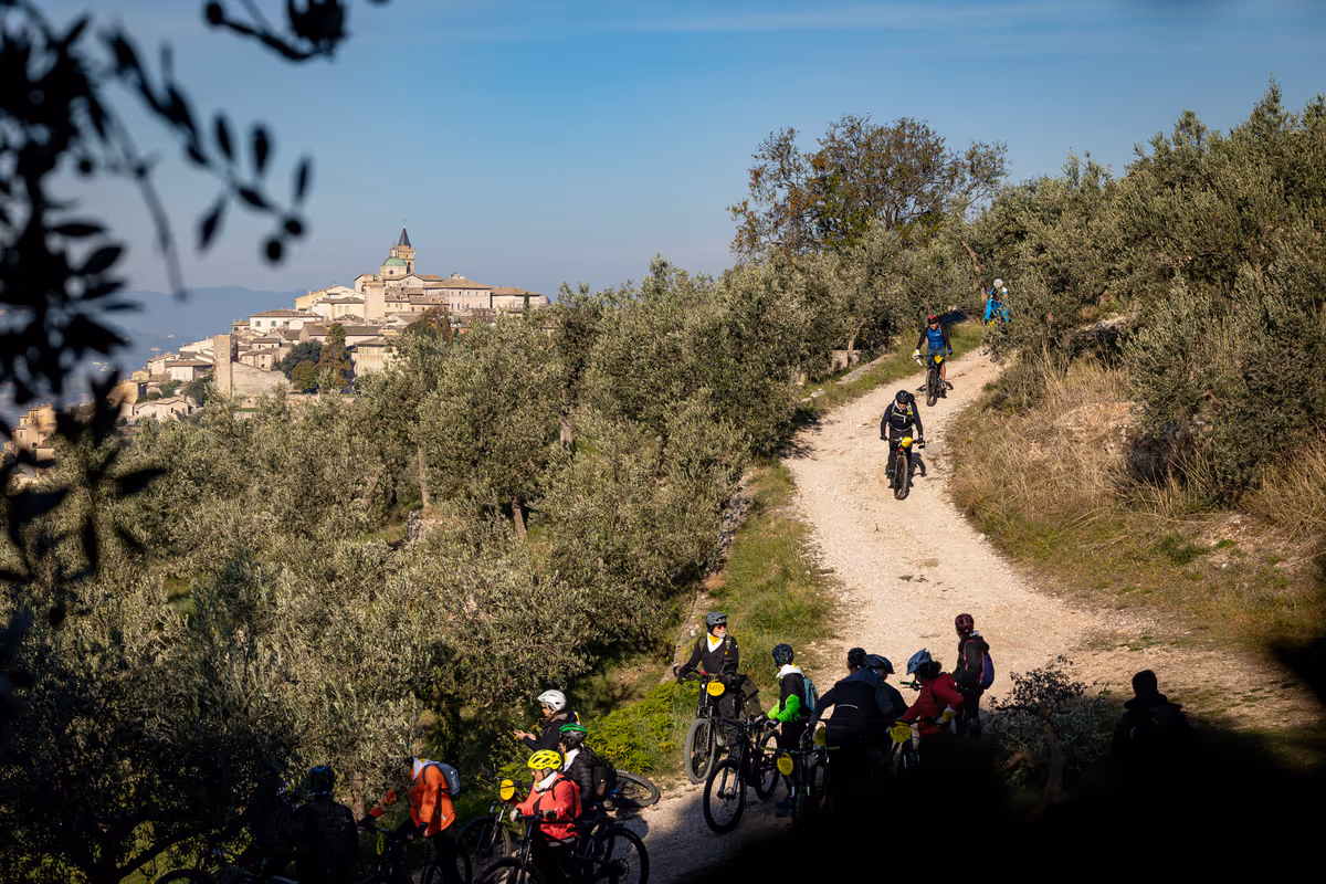 Diverse le attività previste durante Frantoi Aperti