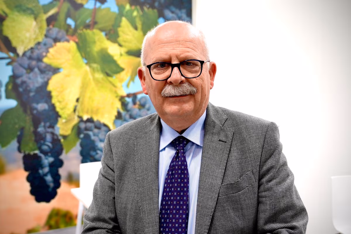 Verdicchio dei Castelli di Jesi, il Consorzio taglia le rese per riequilibrare il mercato