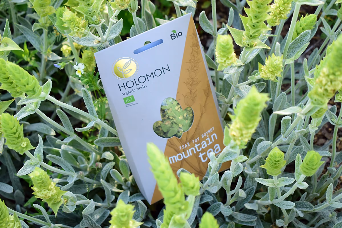 Le erbe aromatiche di Holomon