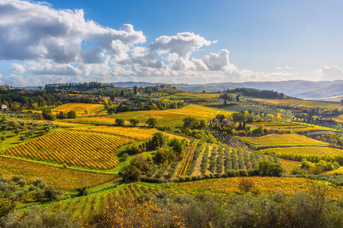 paesaggio collinare con vigneti in autunno tra le campagne della Toscana
