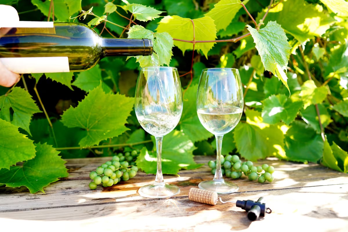 Grecia nel calice: i vini da provare in vacanza e i piatti con cui abbinarli