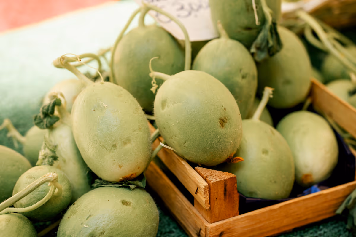 I barattieri, ortaggi tipici dell'estate pugliese