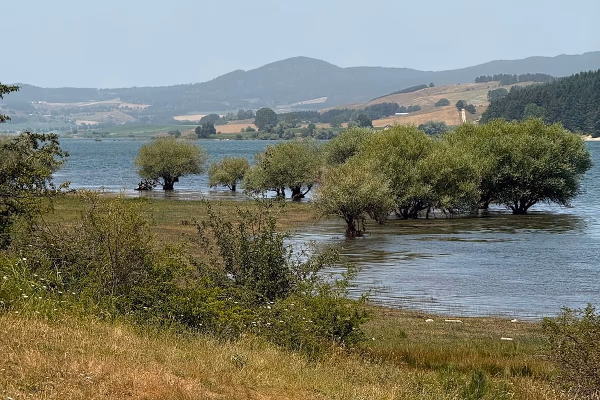 Il lago Cecita