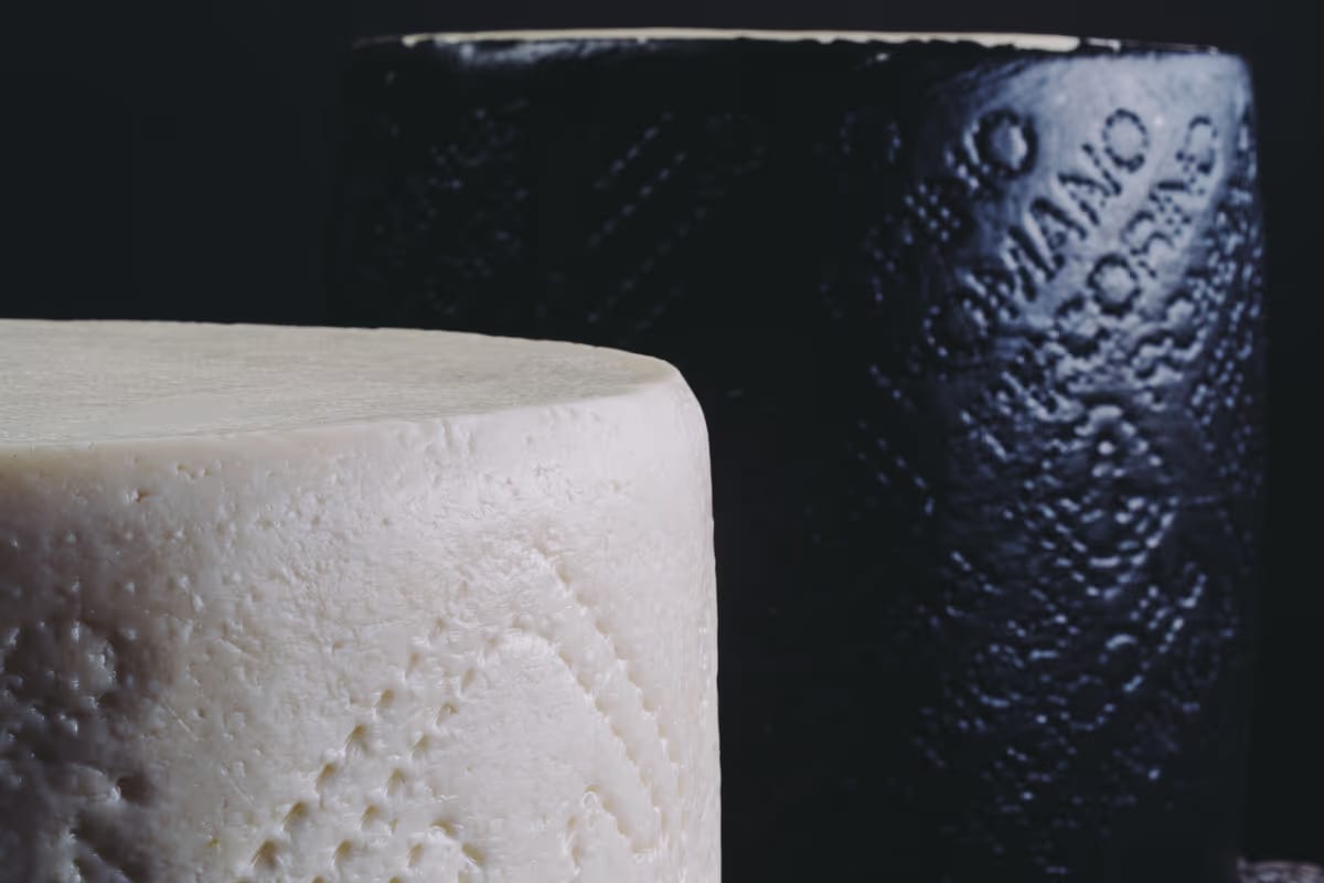 Dazi Usa e nuovi mercati: il Pecorino Romano cerca spazio oltre l’America
