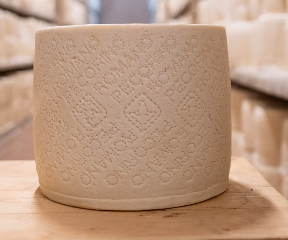 La stagionatura modifica consistenza, intensità e profilo aromatico del Pecorino Romano Dop