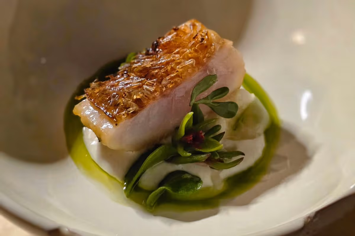 Filetto di pesce con pelle croccante su letto di crema e germogli verdi