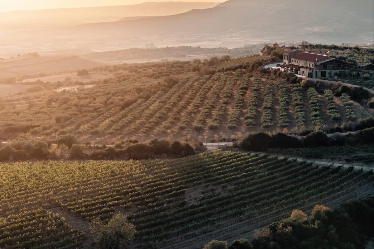 La Cucina di Olianas: mangiare tra vigne e orti nel cuore della Sardegna