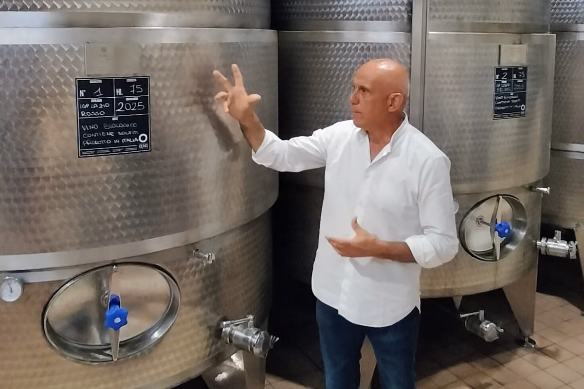 Marco Carpineti, titolare dell'omonima cantina