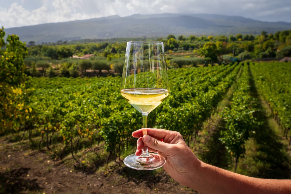 Etna Doc, in 13 anni il vino certificato è aumentato del 390%
