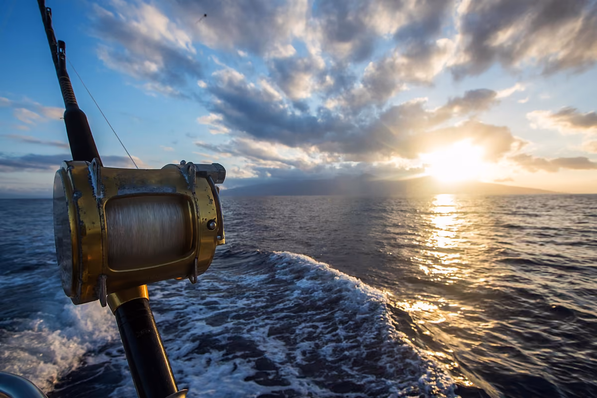 Il Pescaturismo è una delle esperienze più interessanti proposte dal The Sense Experience Resort