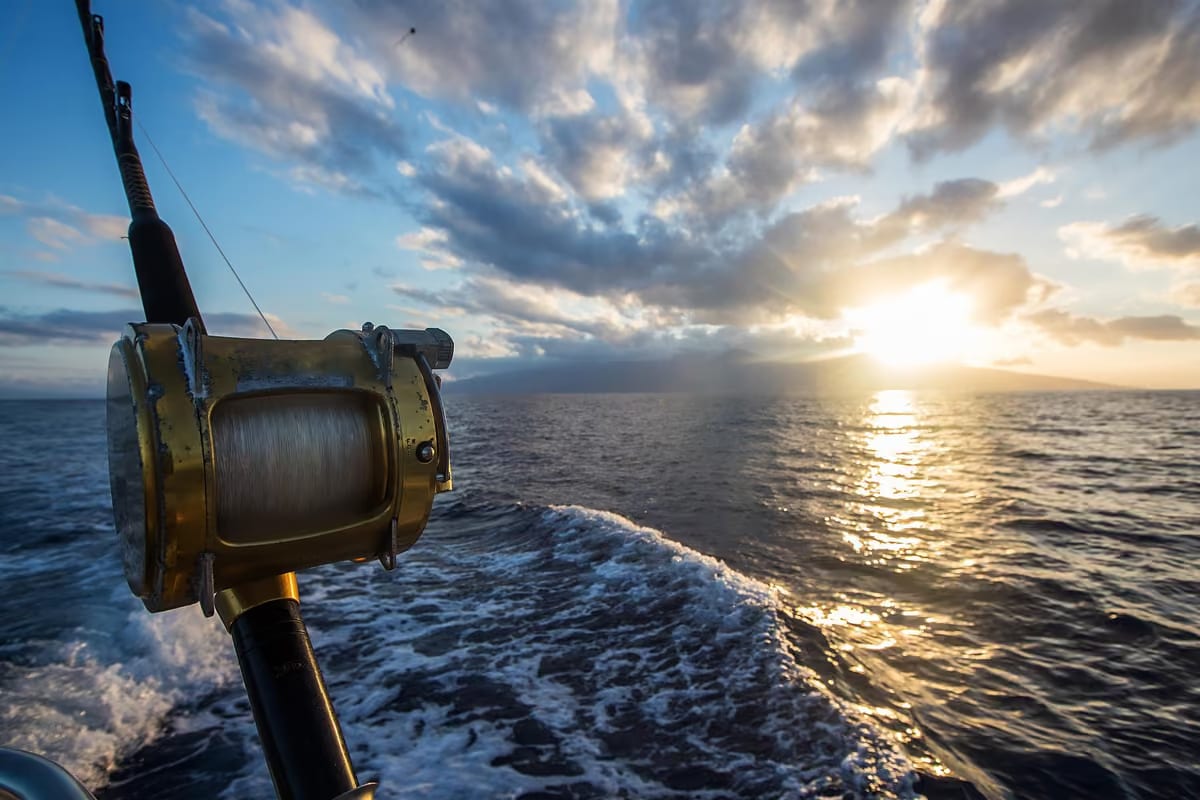 Dalla camera al peschereccio: in Maremma la vacanza segue le rotte dei pescatori