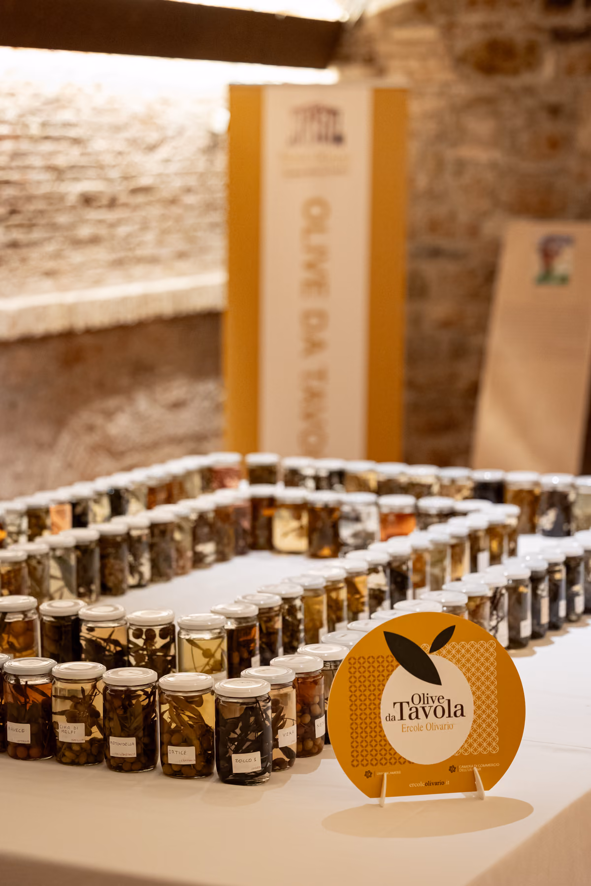 Le migliori olive da tavola arrivano a Vieste: la sfida ora è conquistare il mondo