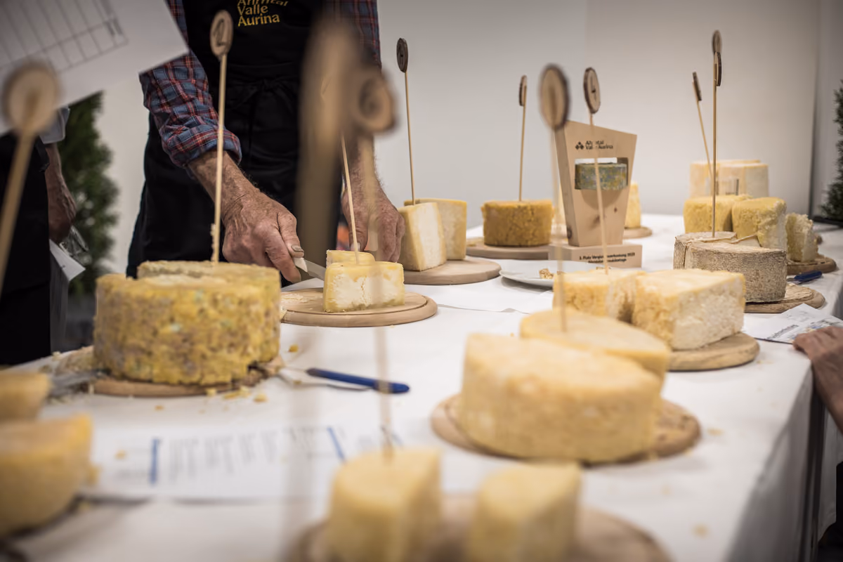 Valle Aurina, viaggio nel regno del Graukäse: il formaggio che racconta la montagna