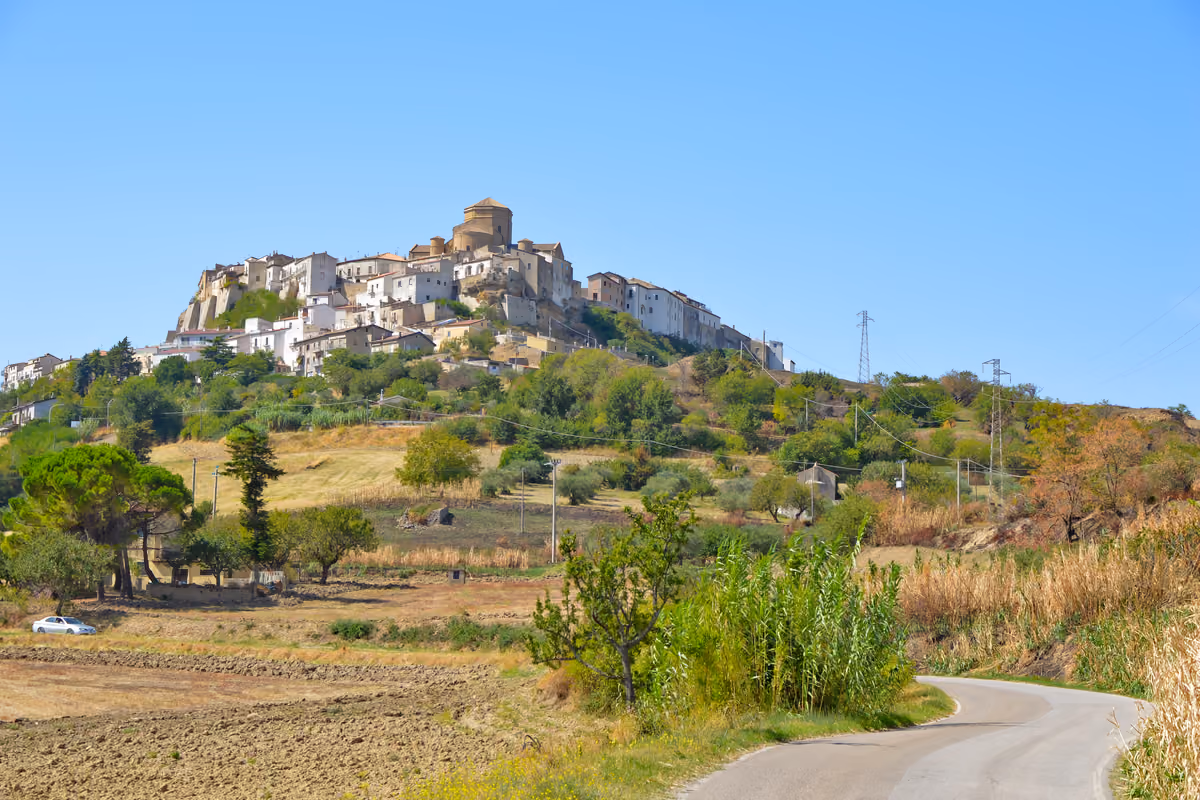 Aglianico