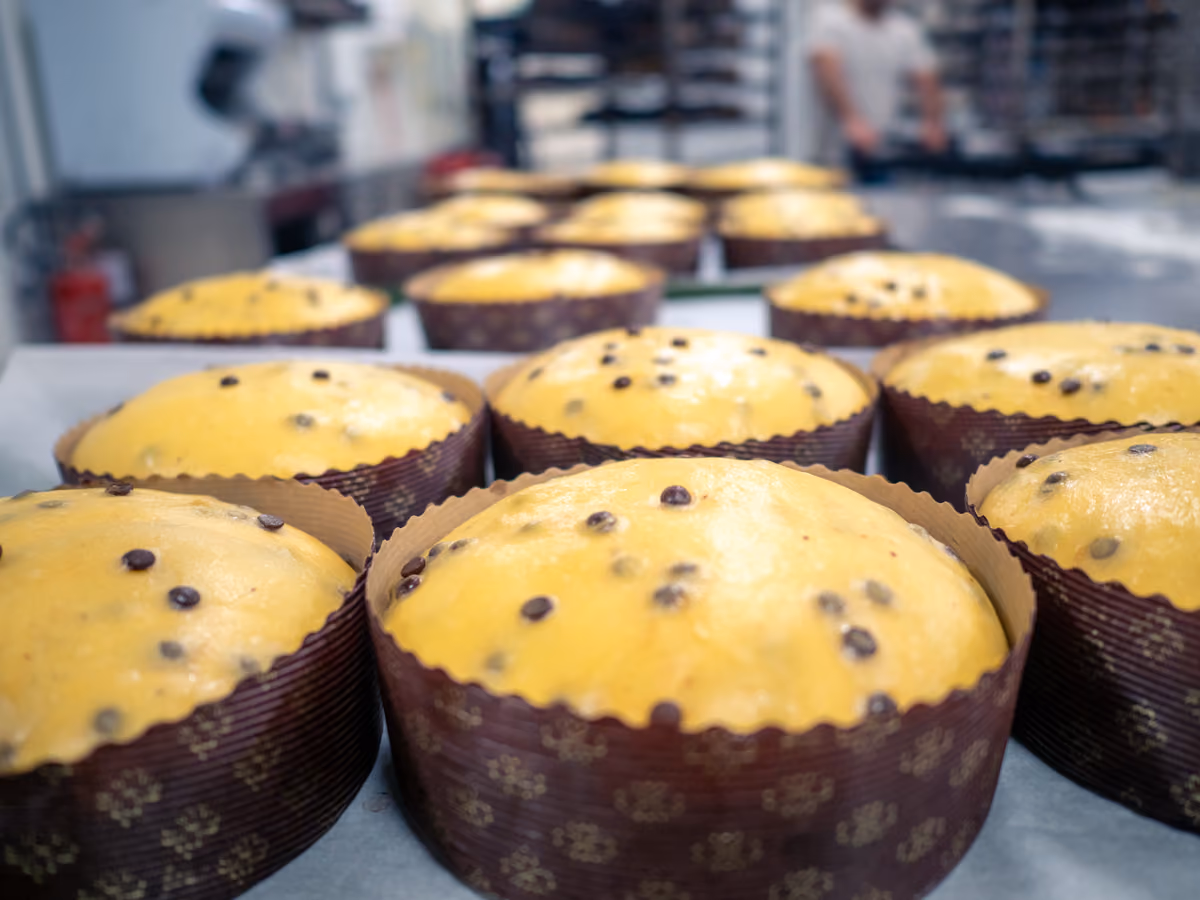 Panettone, la vera stagione inizia a ottobre: cosa fanno i pasticceri