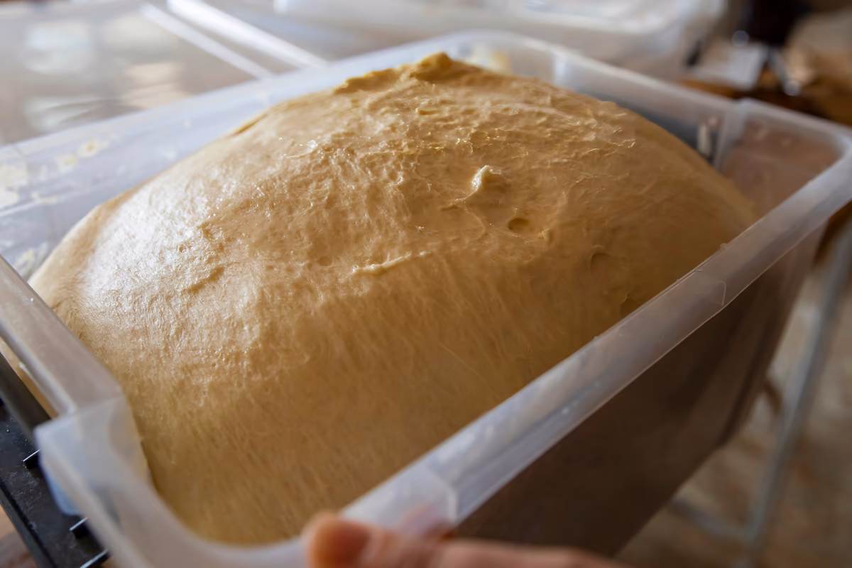 impasto per pane o pizza che lievita all'interno di un contenitore trasparente