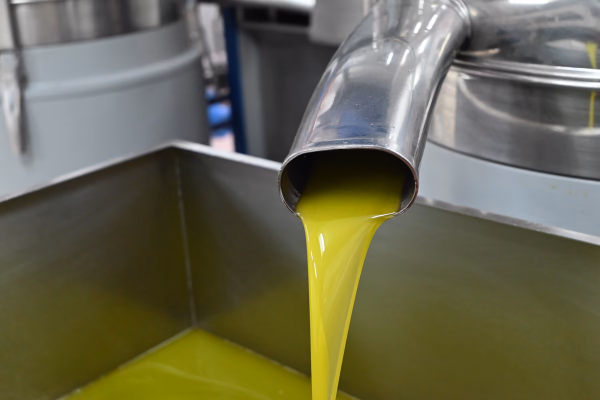 L'olio extravergine d'oliva viene estratto a freddo sotto i 27°C con soli processi meccanici per preservare aromi e proprieta nutrizionali