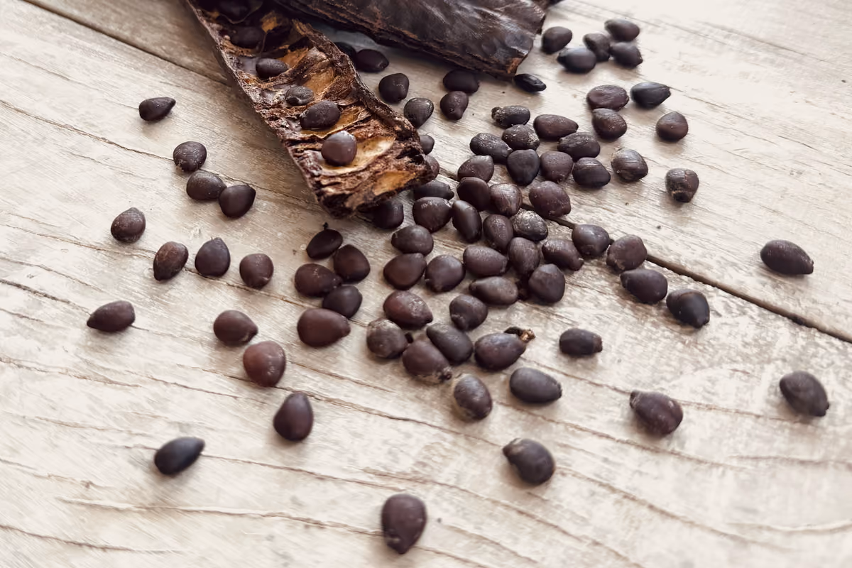 Per colore e caratteristiche, tra cui la dolcezza della polpa, la carruba è stata spesso soprannominata il cioccolato dei poveri
