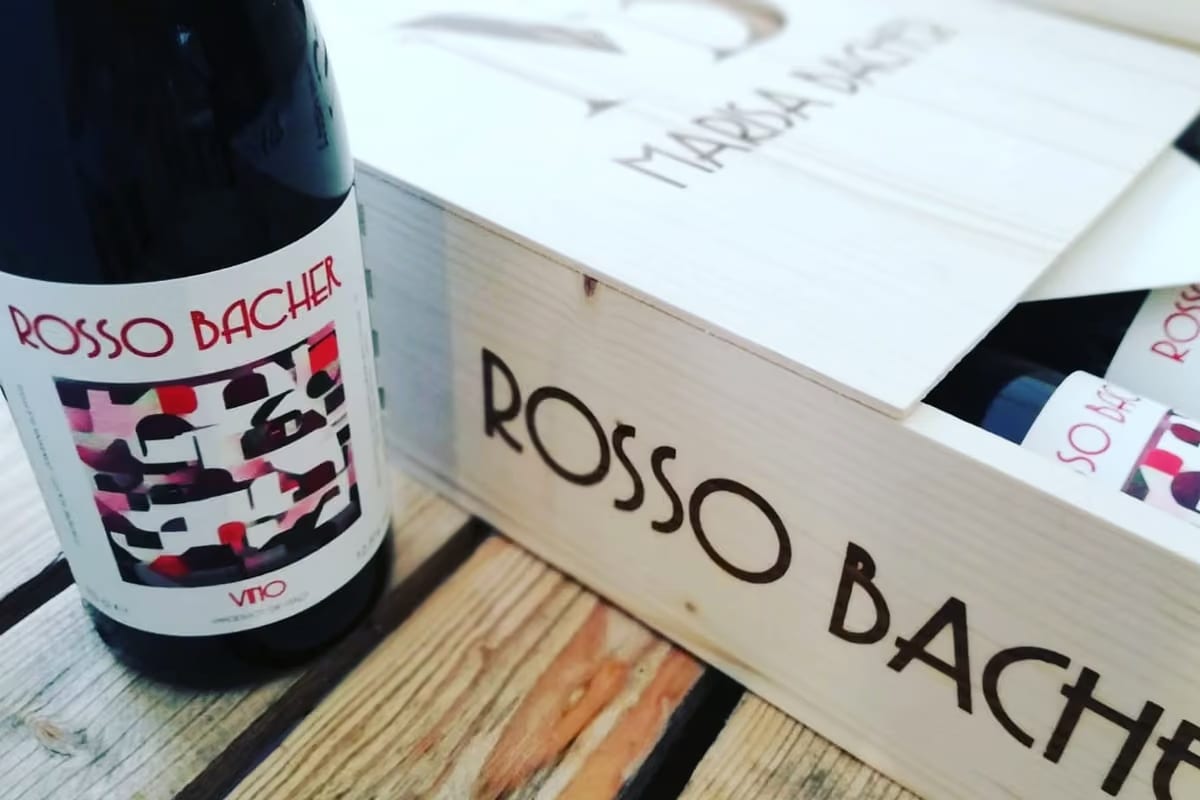 Niente castelli, colline o stemmi: l'etichetta che mette al centro chi produce il vino