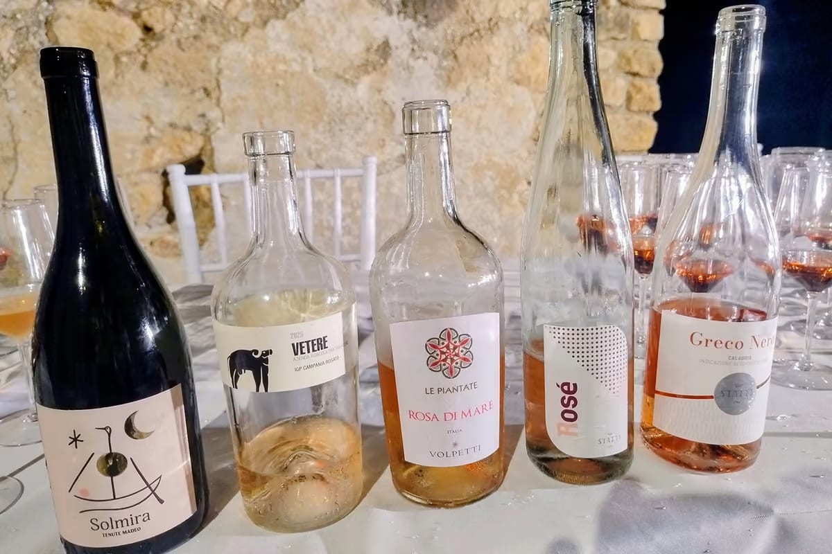 Rosati, dalla Calabria alla Campania: premiati 16 vini a Fiumefreddo