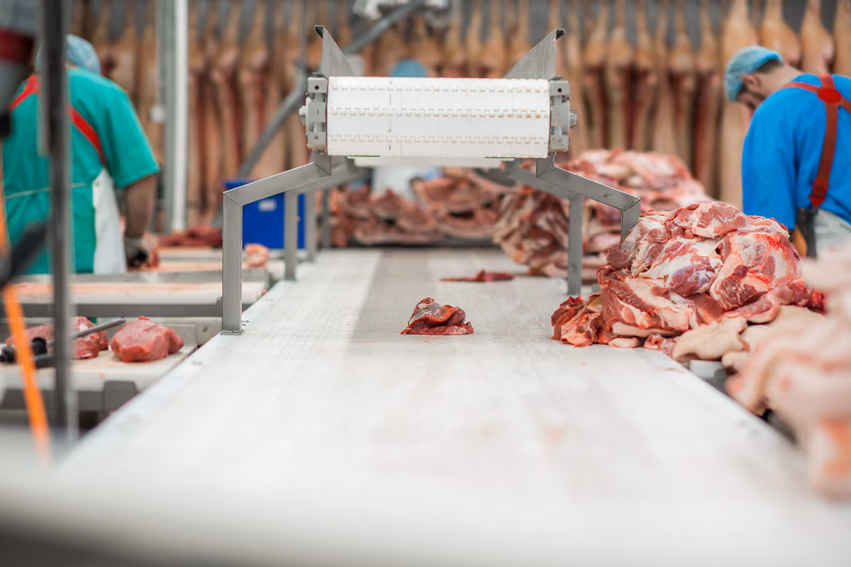 La carne separata meccanicamente è ottenuta attraverso specifiche lavorazioni che modificano la struttura del prodotto