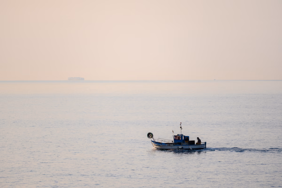 Un piccolo peschereccio rientra in porto dopo la pesca: la zona di cattura è una delle informazioni richieste per il prodotto ittico