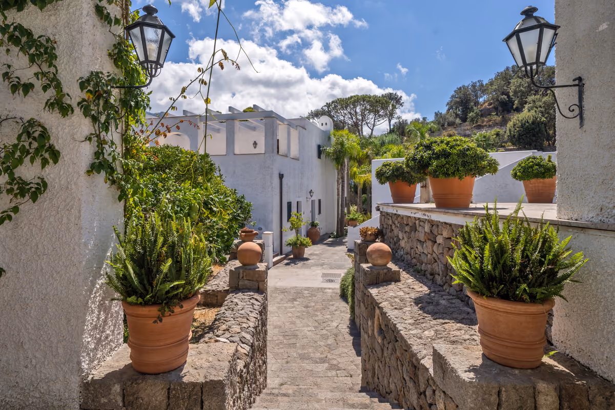 colognese