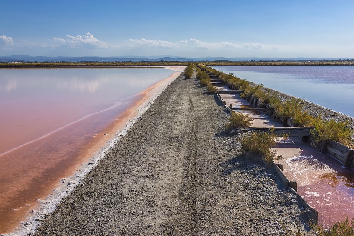 Le saline di Cervia (Ra)
