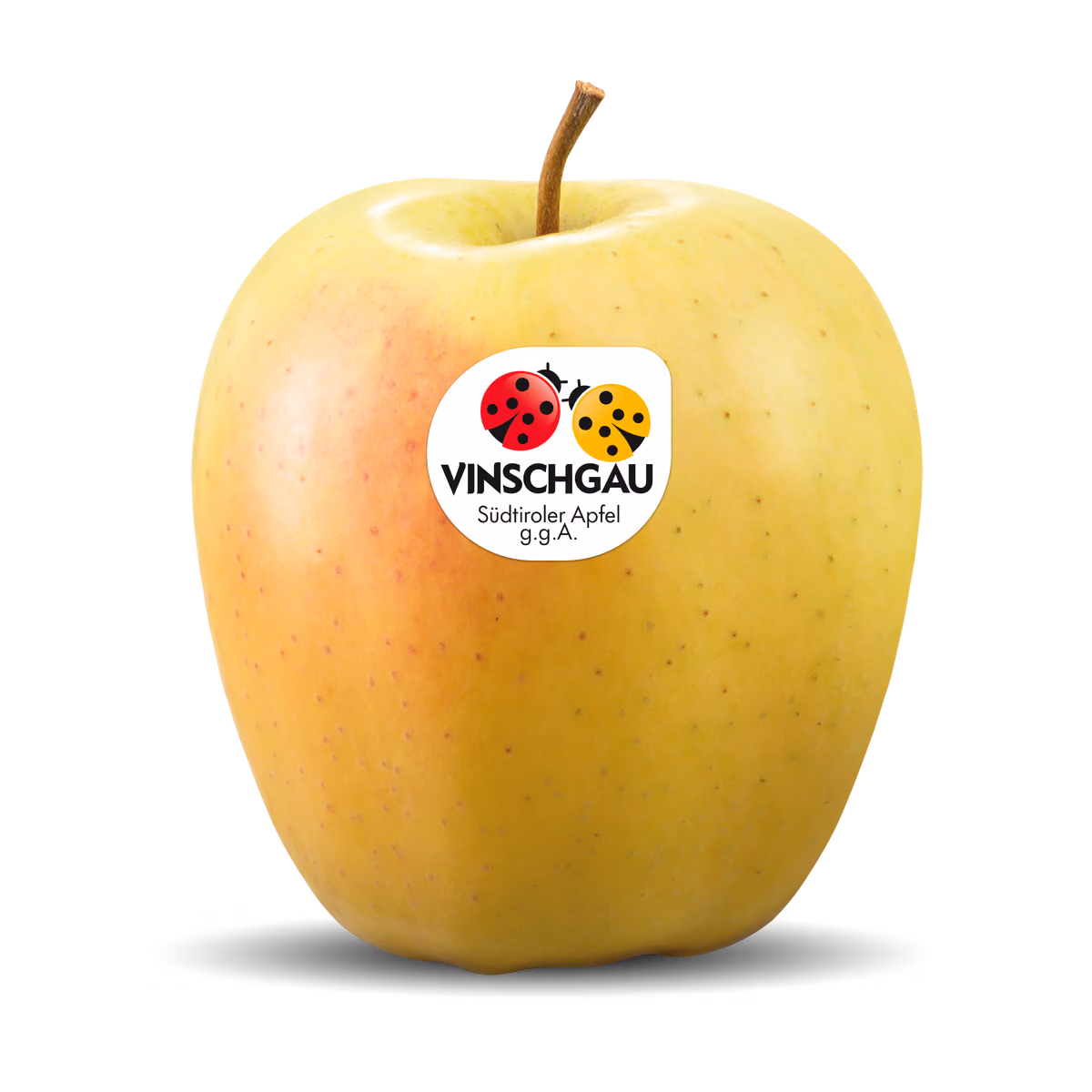 La mela VIP Golden Delicious