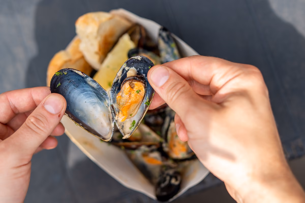 Cozze, il caldo cambia tutto: cosa sta succedendo in Emilia-Romagna e cosa cambia nell’Adriatico