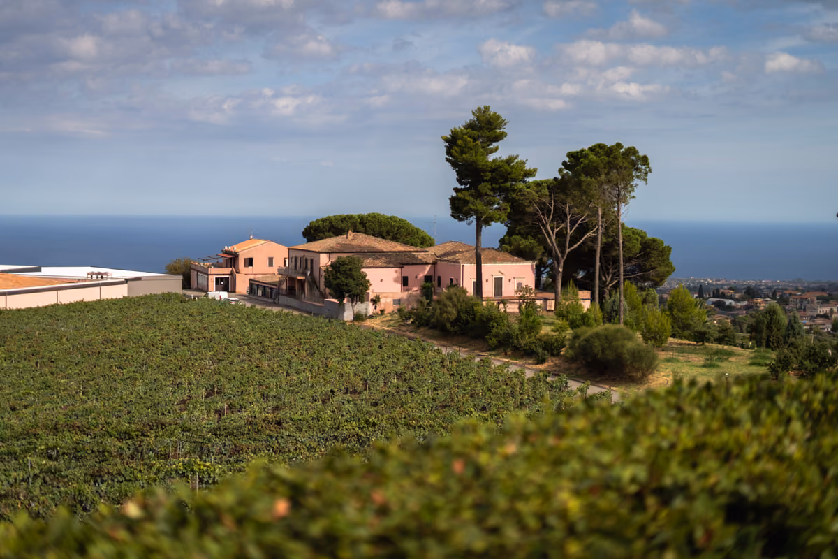 vigneti con edifici rosa e alberi in una tenuta vinicola siciliana
