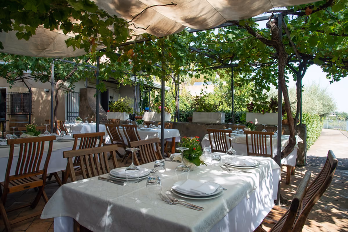 Dal Corleonese all'Etna fino al Val di Noto: quattro cantine siciliane da scoprire