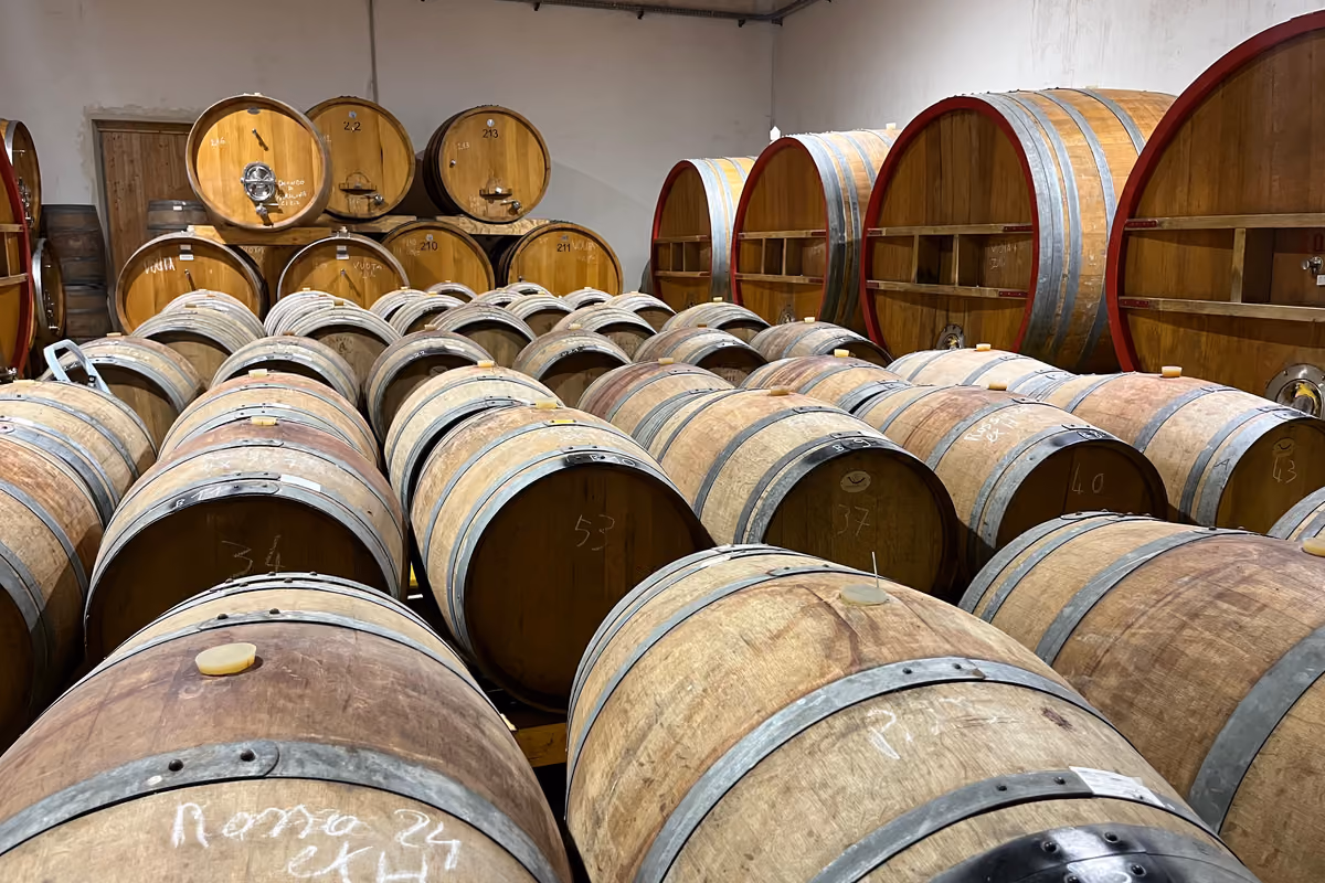 Dal Corleonese all'Etna fino al Val di Noto: quattro cantine siciliane da scoprire
