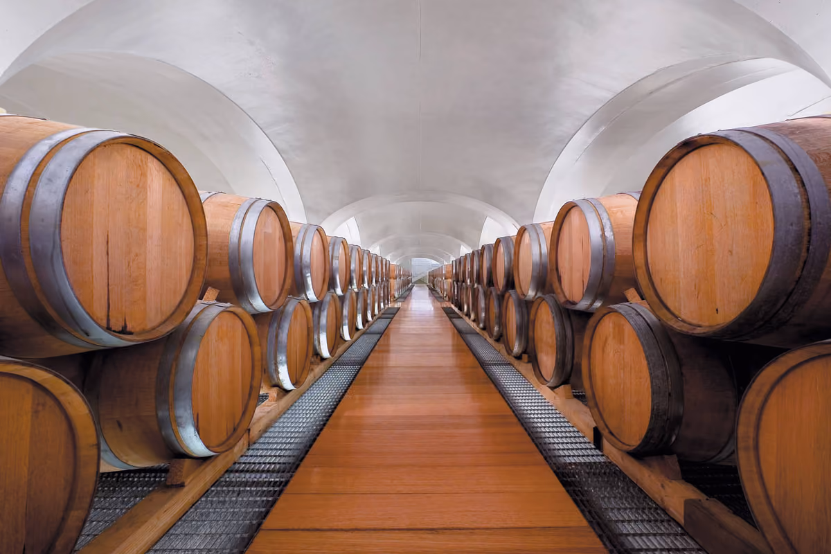 Dal Greco di Tufo al Serpico: l'Irpinia del vino raccontata da Feudi di San Gregorio