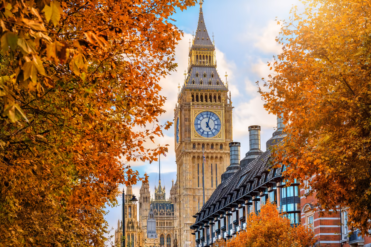 La torre di Elizabeth Tower del Big Ben circondata da alberi autunnali a Londra