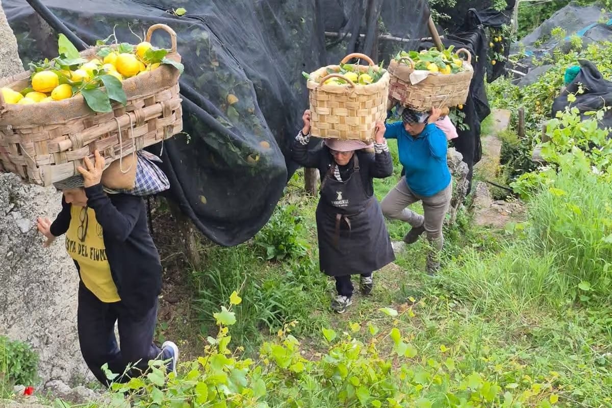In Costiera Amalfitana c'è un sentiero nato per trasportare i limoni