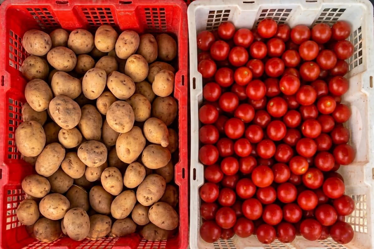 Pomodori in crescita, patate sempre più care: il clima ridisegna il mercato europeo
